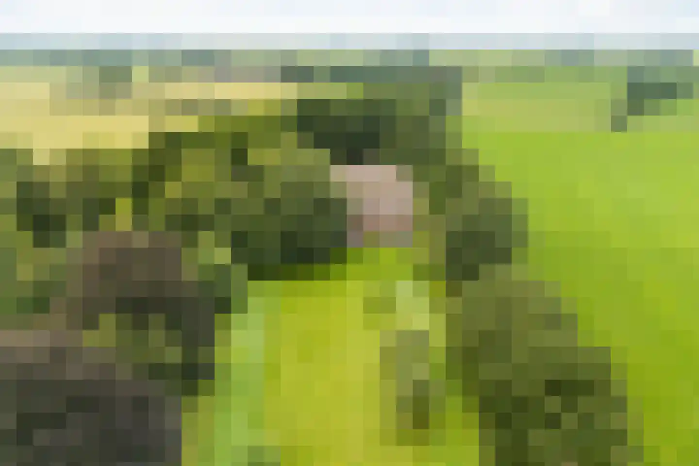 Munsterweg 3 Gendringen thumbnail 77