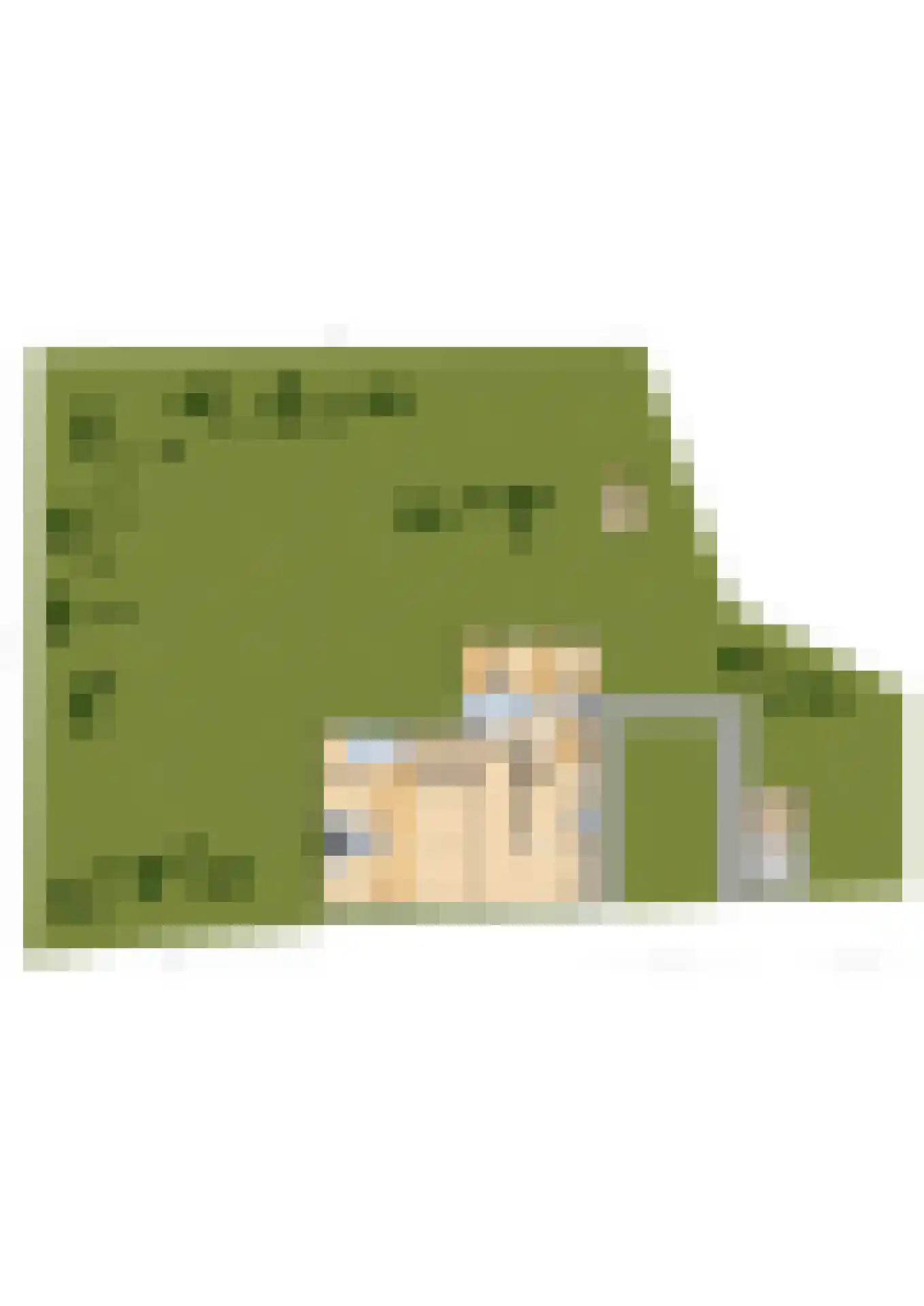 Munsterweg 3 Gendringen thumbnail 79