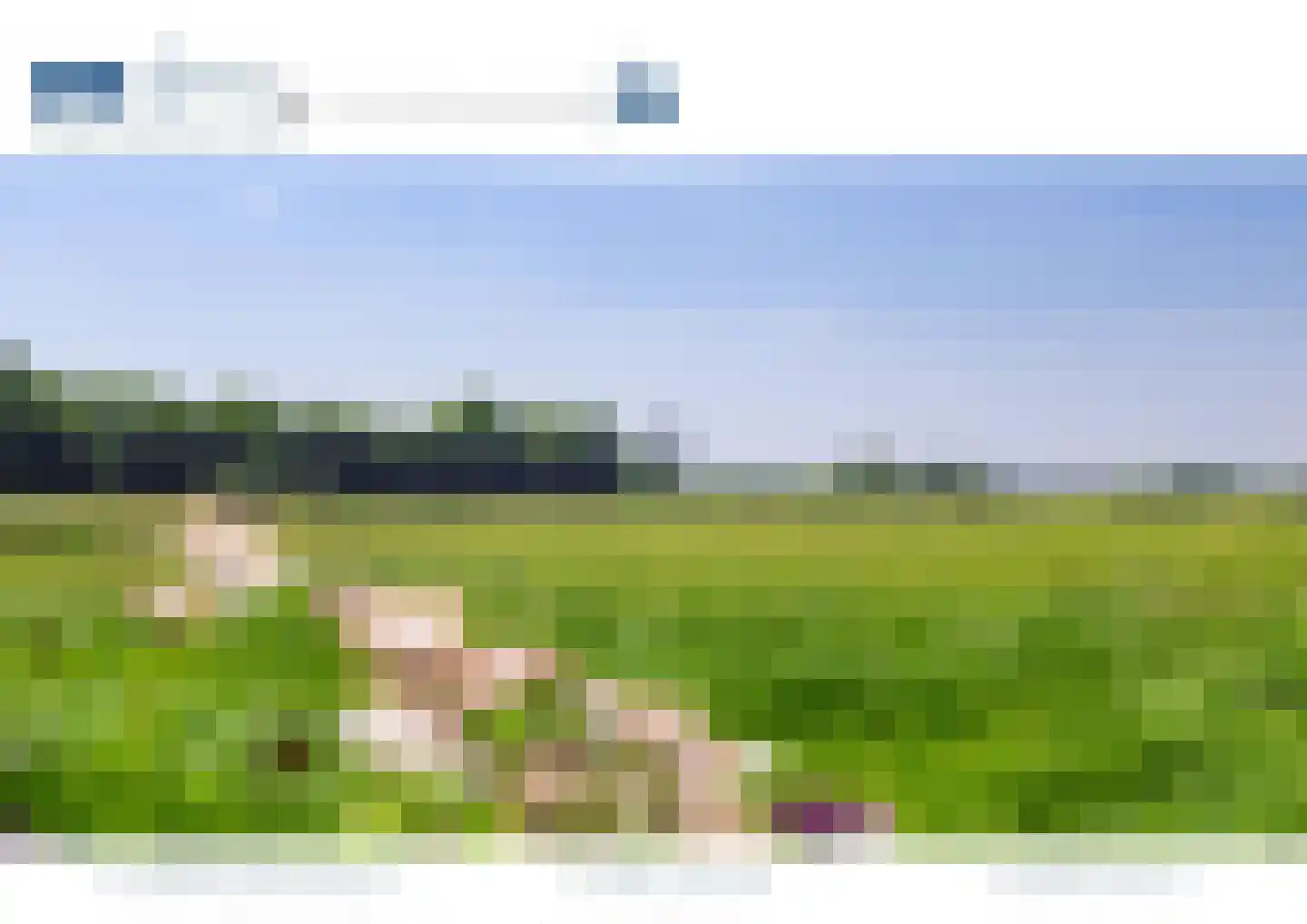 Munsterweg 3 Gendringen thumbnail 88