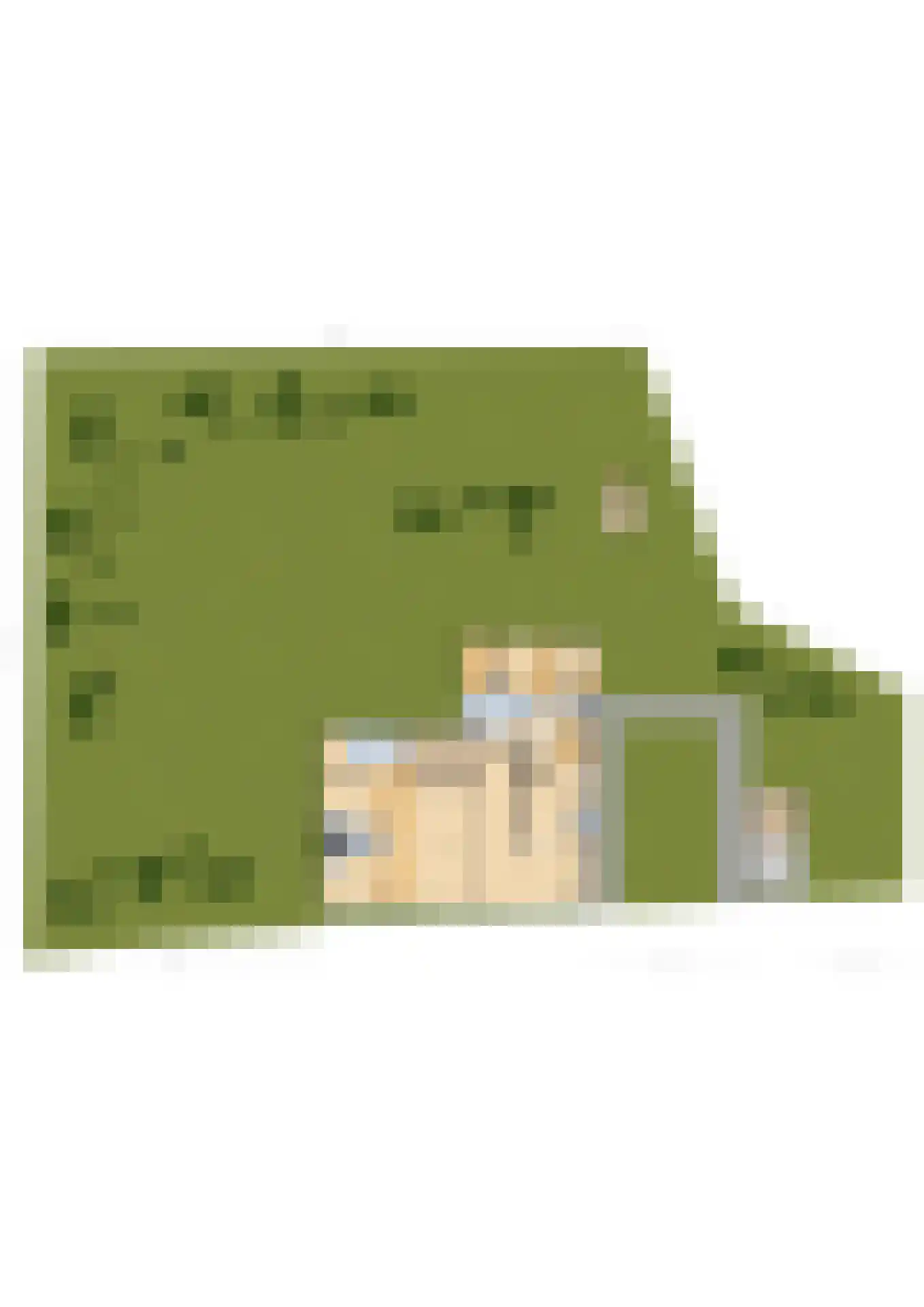 Munsterweg 3 Gendringen thumbnail 89