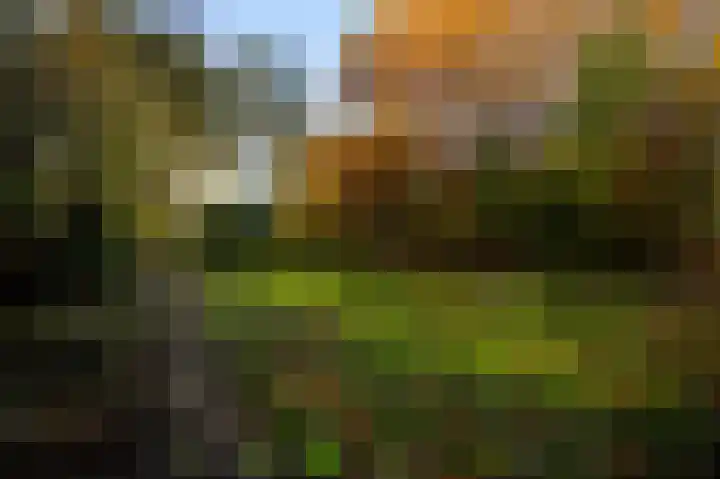 Munsterweg 65 Susteren thumbnail 10