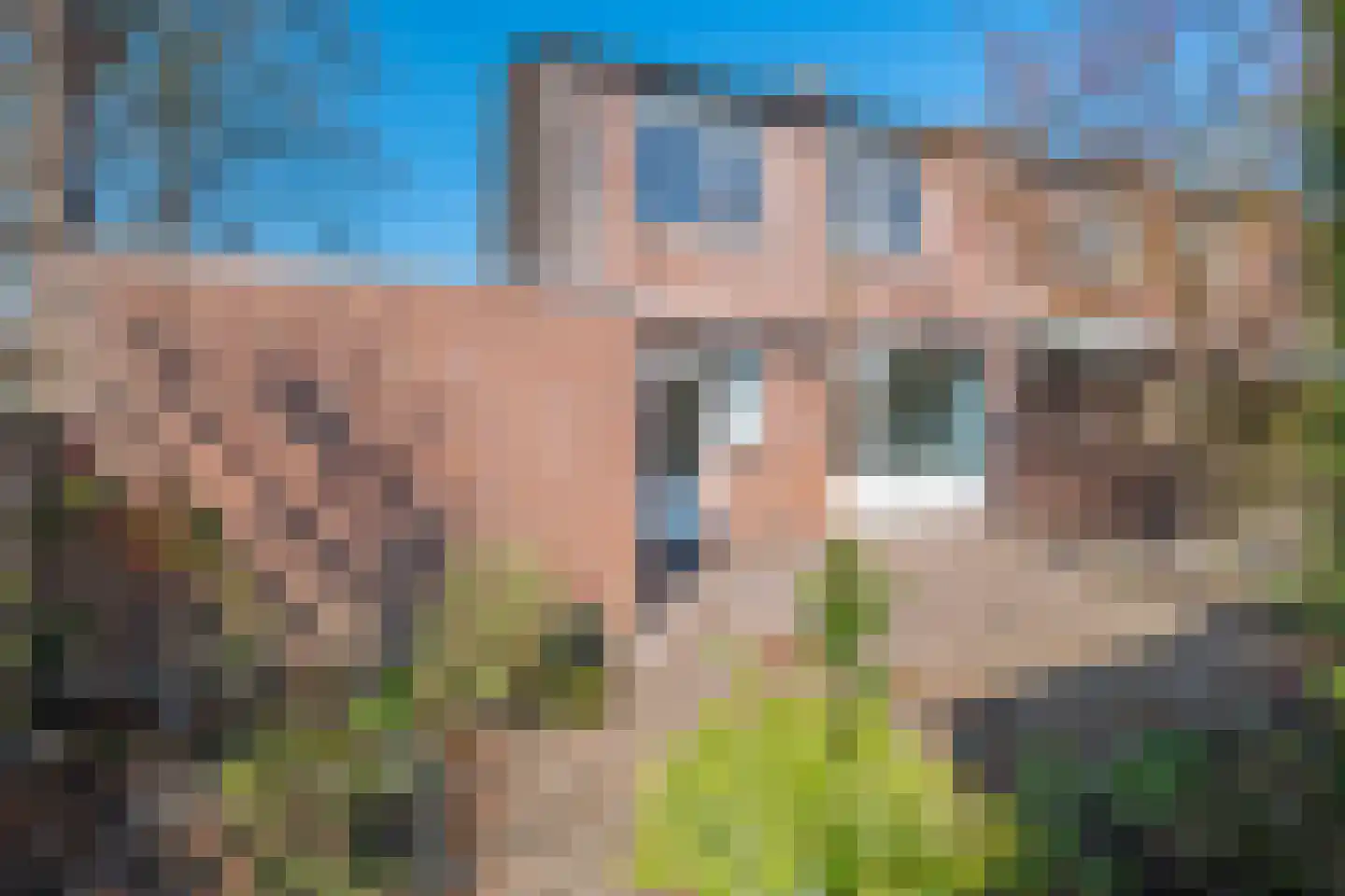 Munsterweg 65 Susteren thumbnail 24