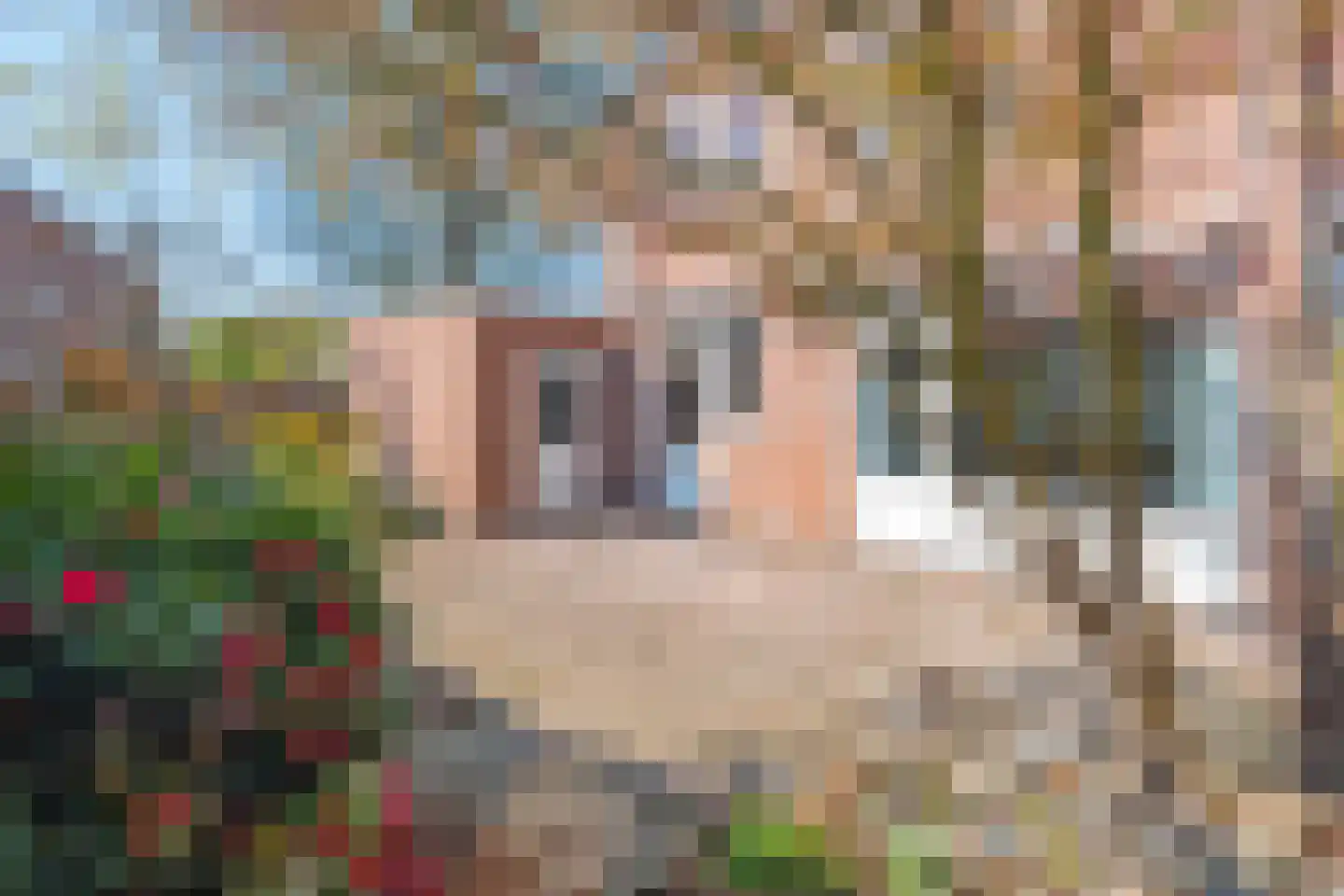 Munsterweg 65 Susteren thumbnail 5
