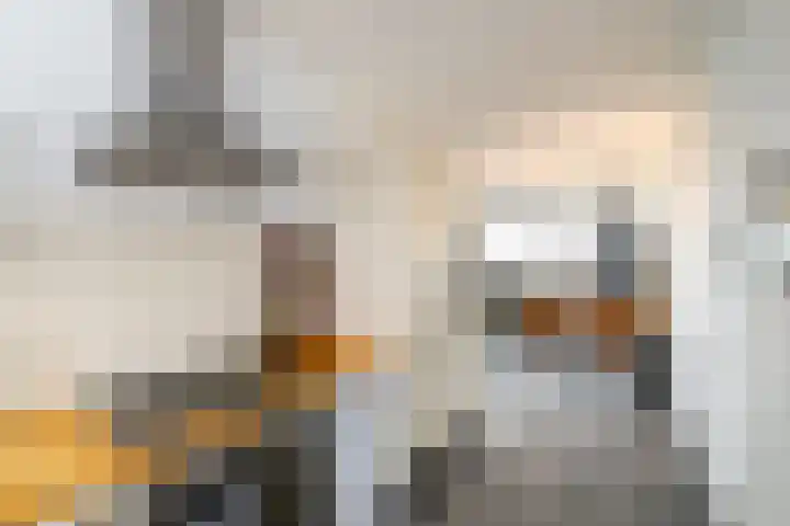 Munt 106 Heerenveen thumbnail 12