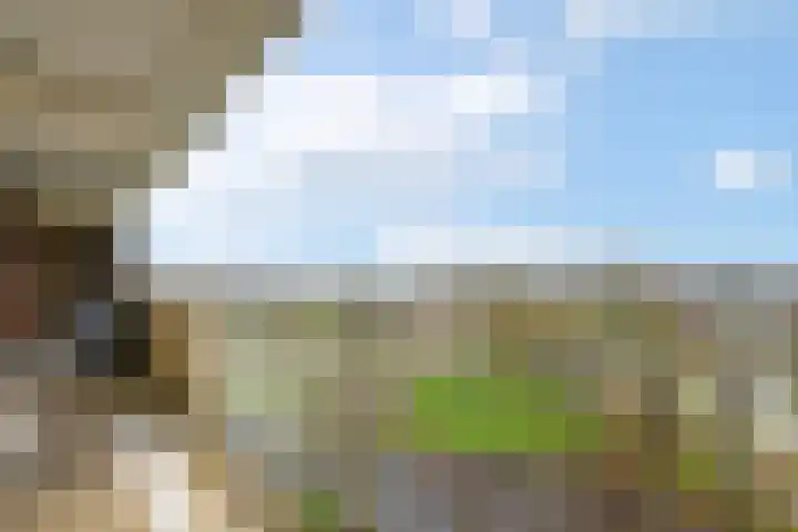 Munt 106 Heerenveen thumbnail 23