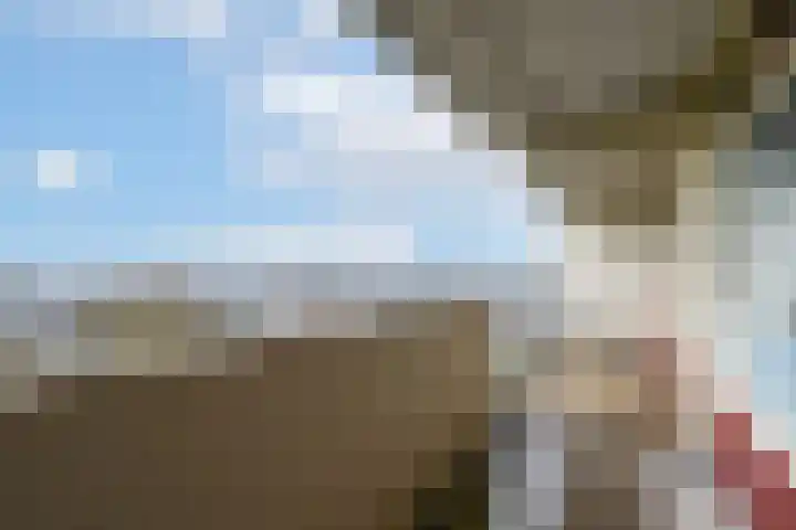 Munt 106 Heerenveen thumbnail 24