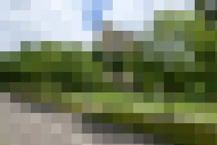 Munt 106 Heerenveen thumbnail 28