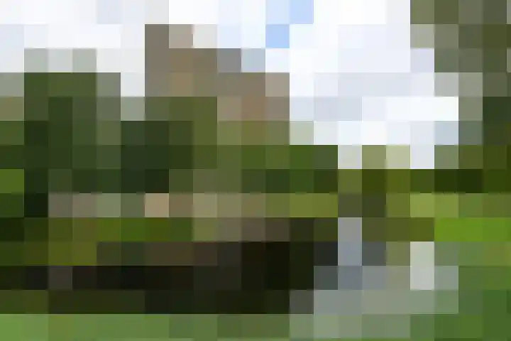Munt 106 Heerenveen thumbnail 29