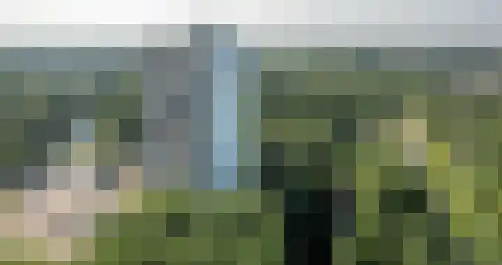 Munt 126 Heerenveen thumbnail 22