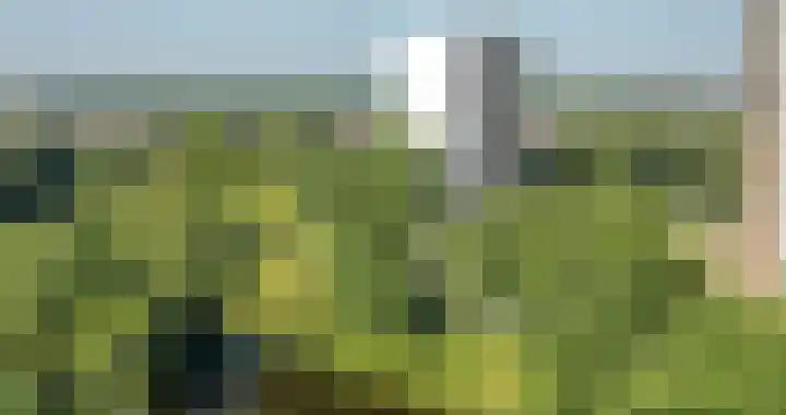 Munt 126 Heerenveen thumbnail 23