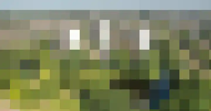 Munt 126 Heerenveen thumbnail 24