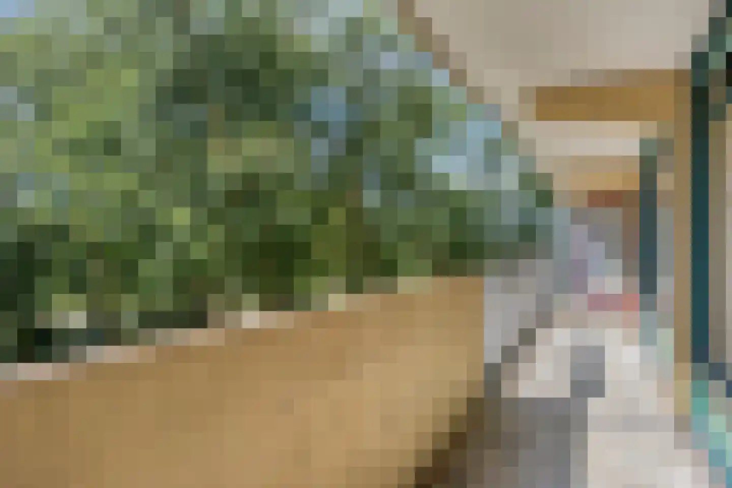 Munt 148 Heerenveen thumbnail 16