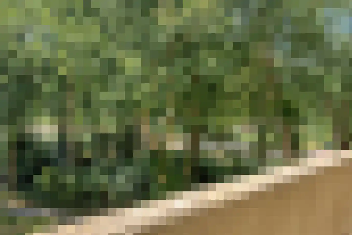 Munt 148 Heerenveen thumbnail 17