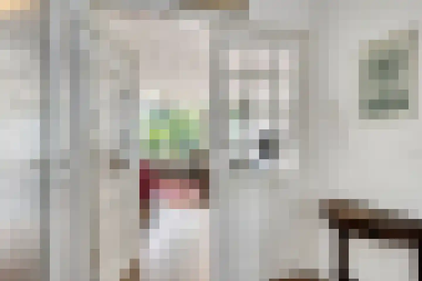 Munt 148 Heerenveen thumbnail 25
