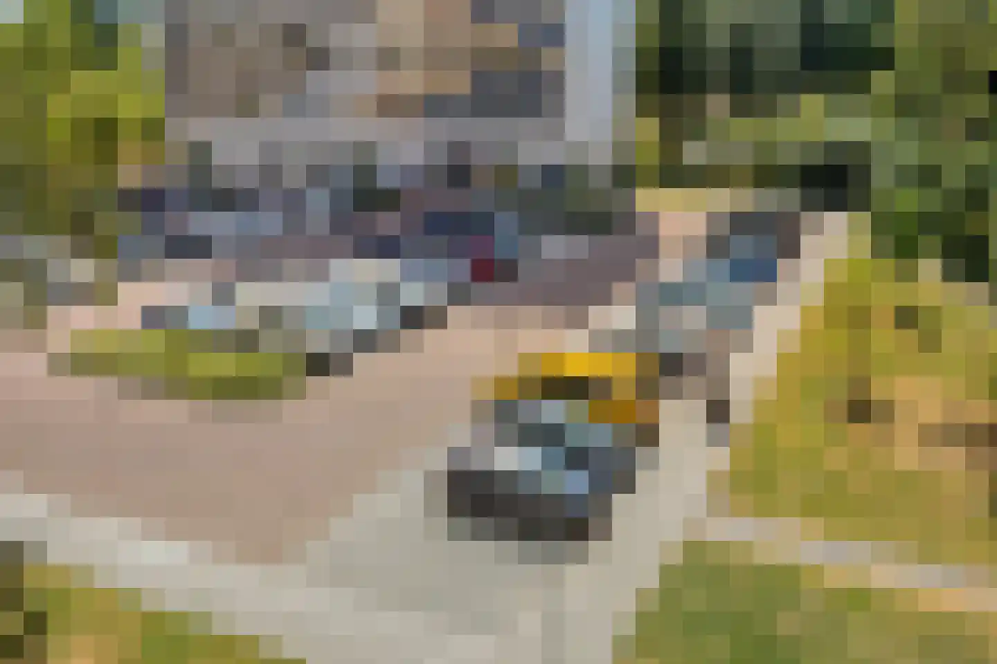 Munt 148 Heerenveen thumbnail 27