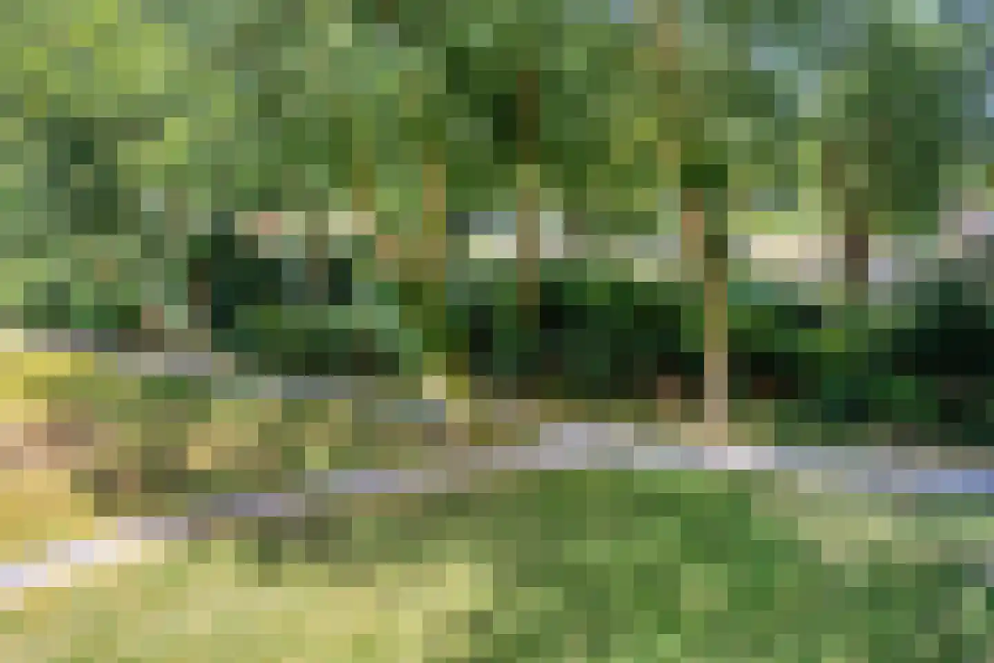 Munt 148 Heerenveen thumbnail 28