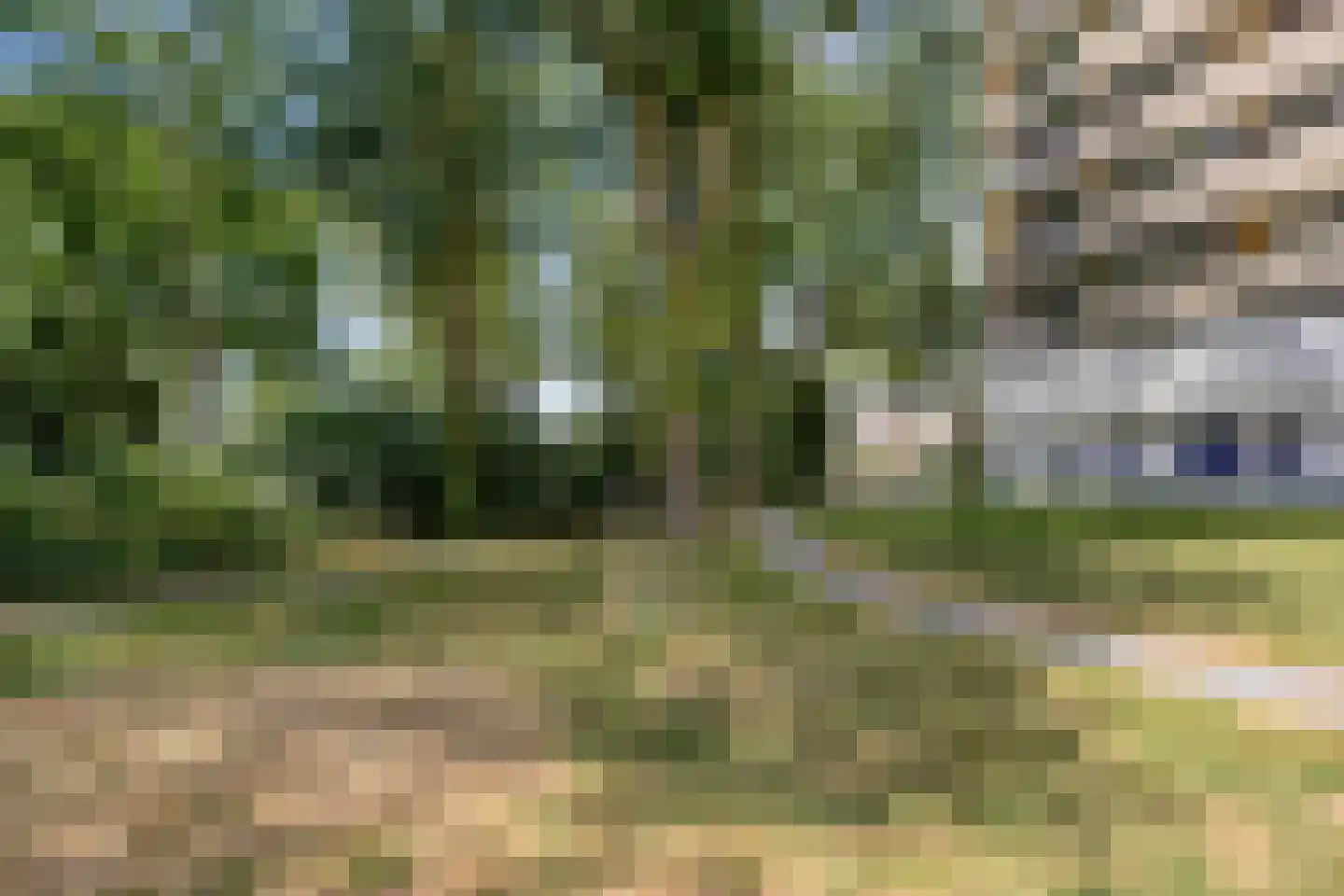 Munt 148 Heerenveen thumbnail 5