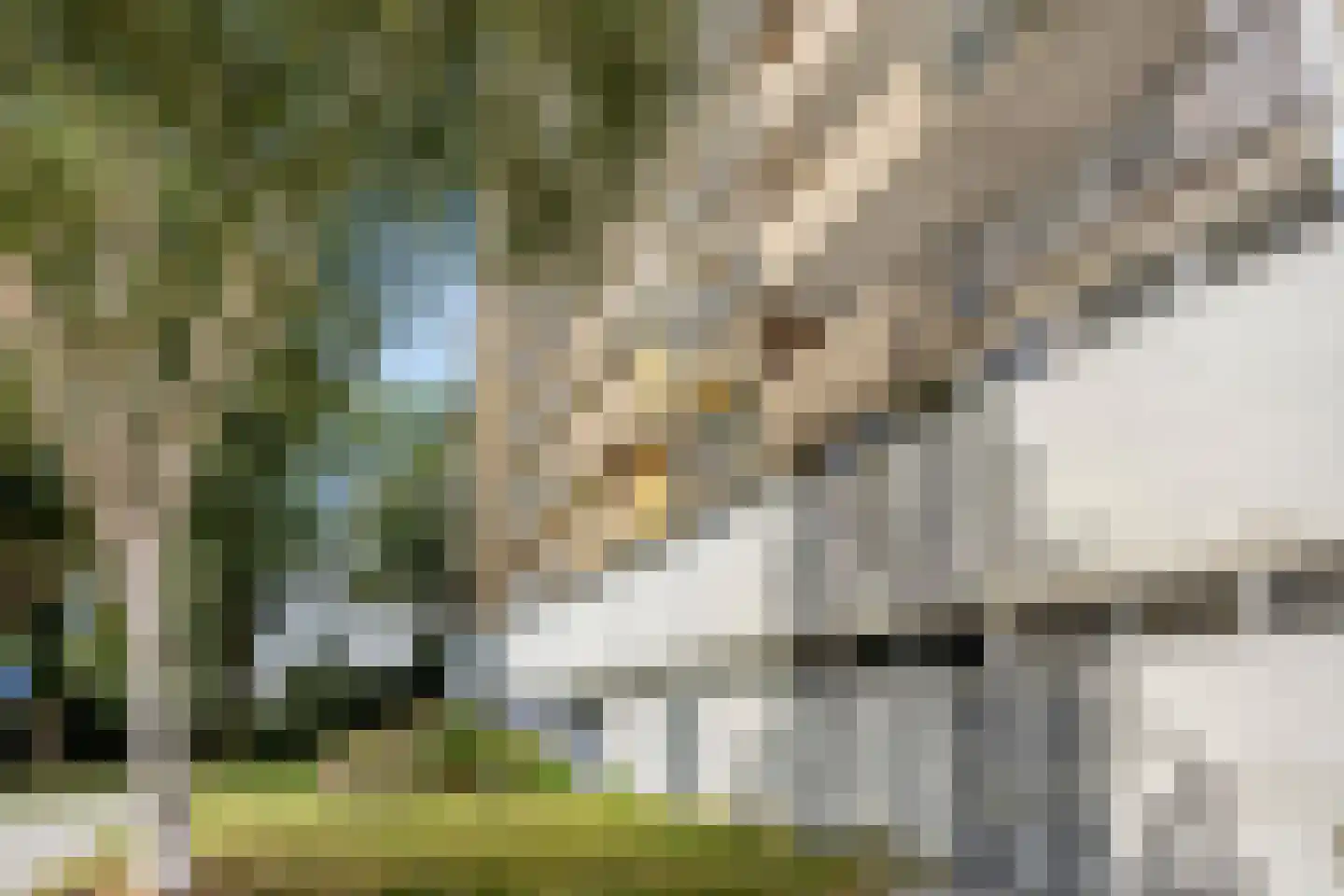Munt 148 Heerenveen thumbnail 6