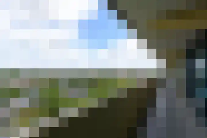 Munt 191 Heerenveen thumbnail 17