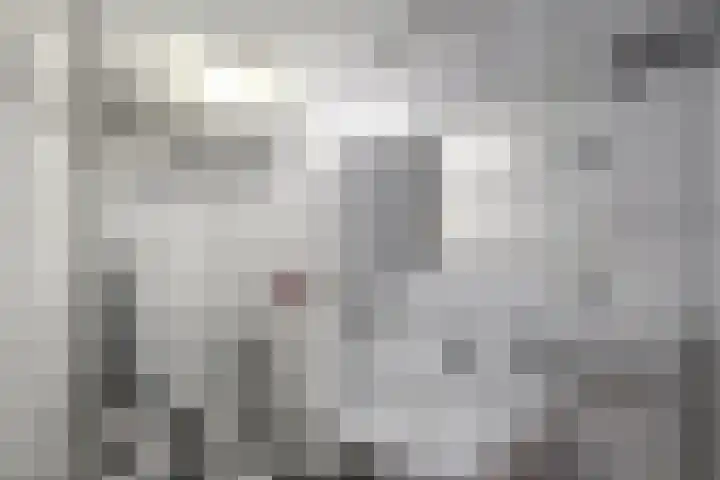 Munt 191 Heerenveen thumbnail 22