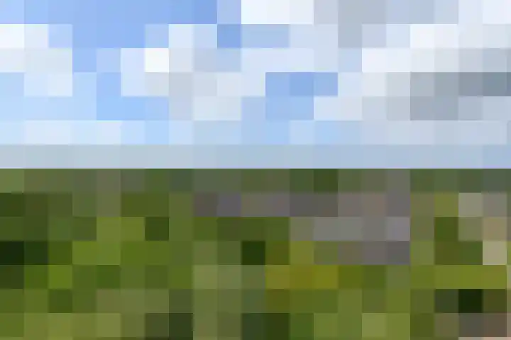 Munt 191 Heerenveen thumbnail 29