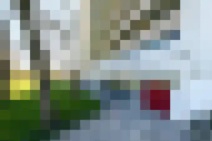 Munt 191 Heerenveen thumbnail 9