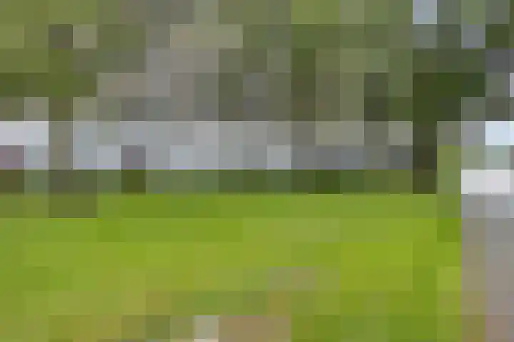 Munt 192 Heerenveen thumbnail 18