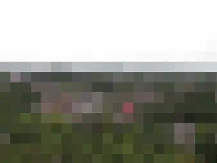 Munt 192 Heerenveen thumbnail 26