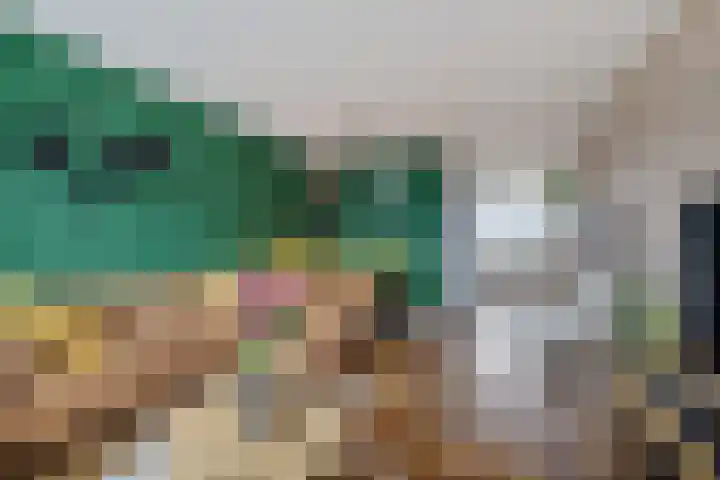 Munt 194 Heerenveen thumbnail 20