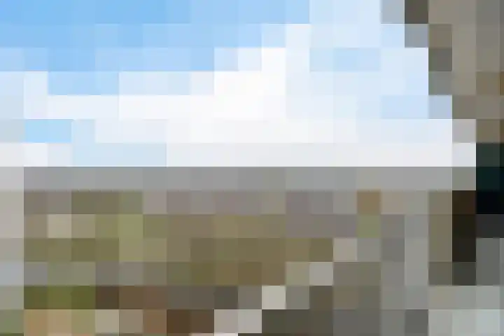 Munt 194 Heerenveen thumbnail 24