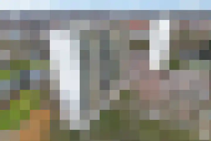 Munt 194 Heerenveen thumbnail 40