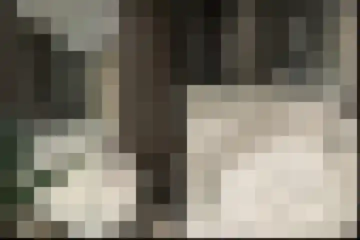 Munt 201 Heerenveen thumbnail 12