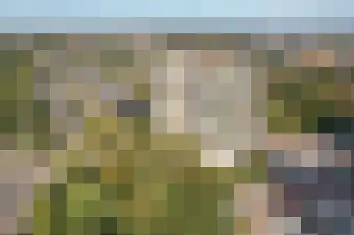 Munt 201 Heerenveen thumbnail 23