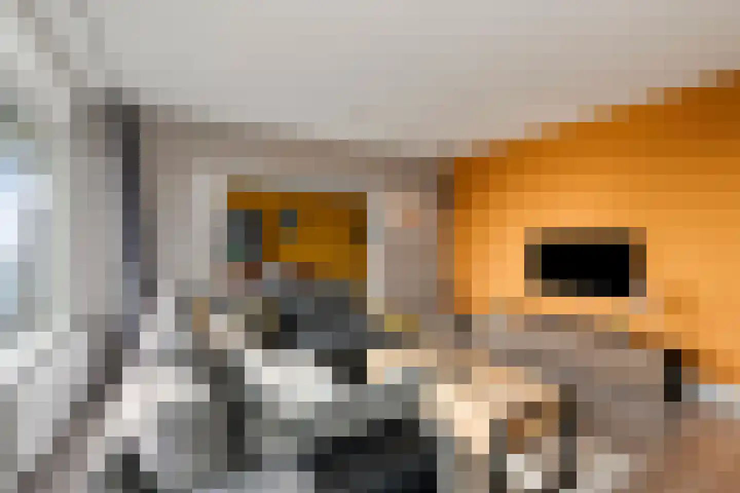Munt 203 Heerenveen thumbnail 16