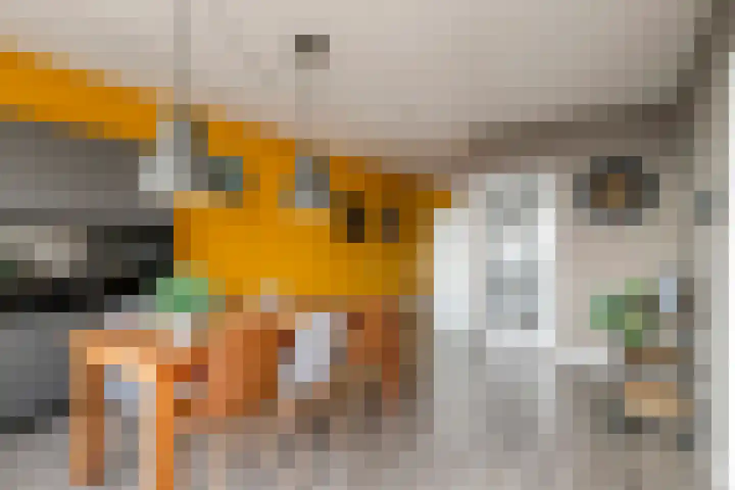Munt 203 Heerenveen thumbnail 20