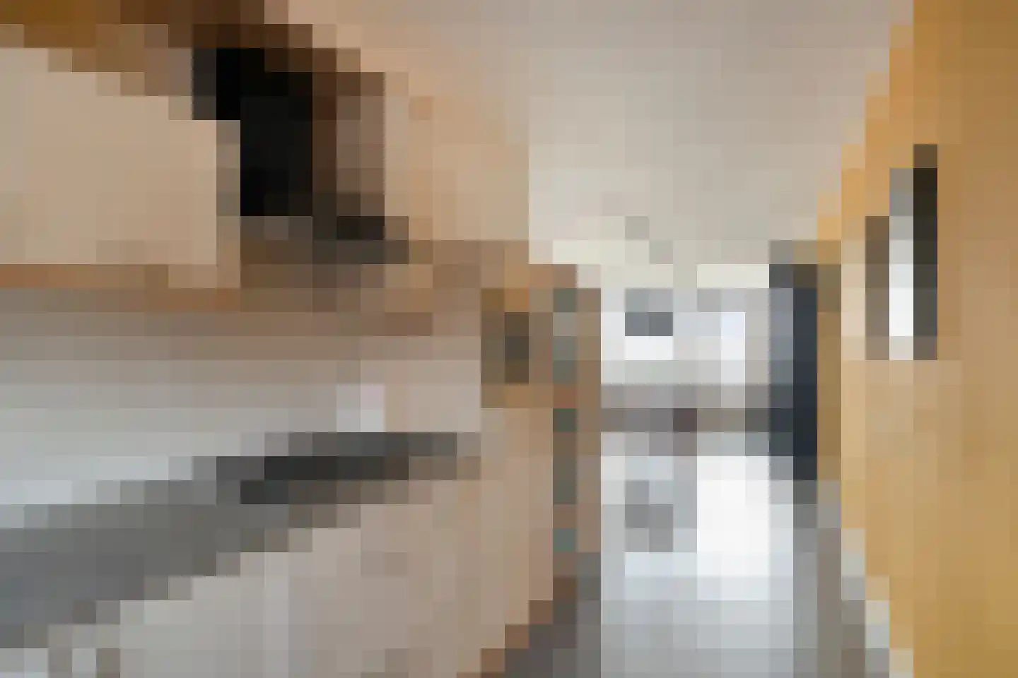 Munt 203 Heerenveen thumbnail 23