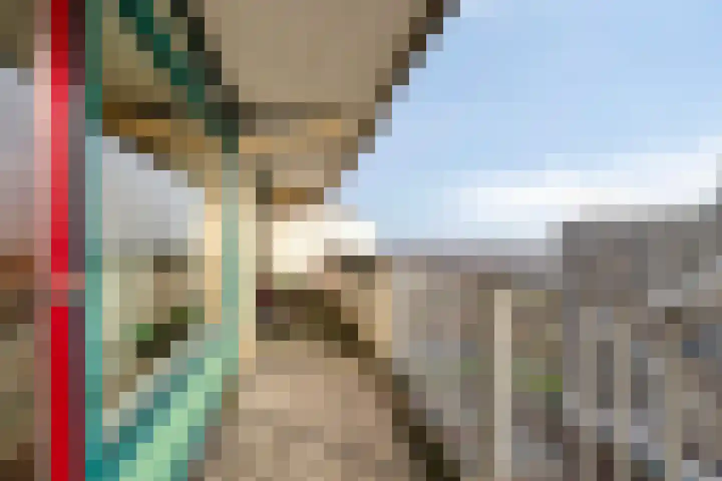 Munt 203 Heerenveen thumbnail 30