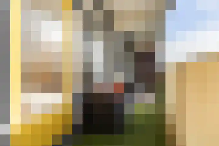 Munt 42 Heerenveen thumbnail 26