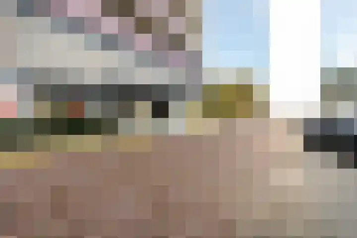 Munt 42 Heerenveen thumbnail 6