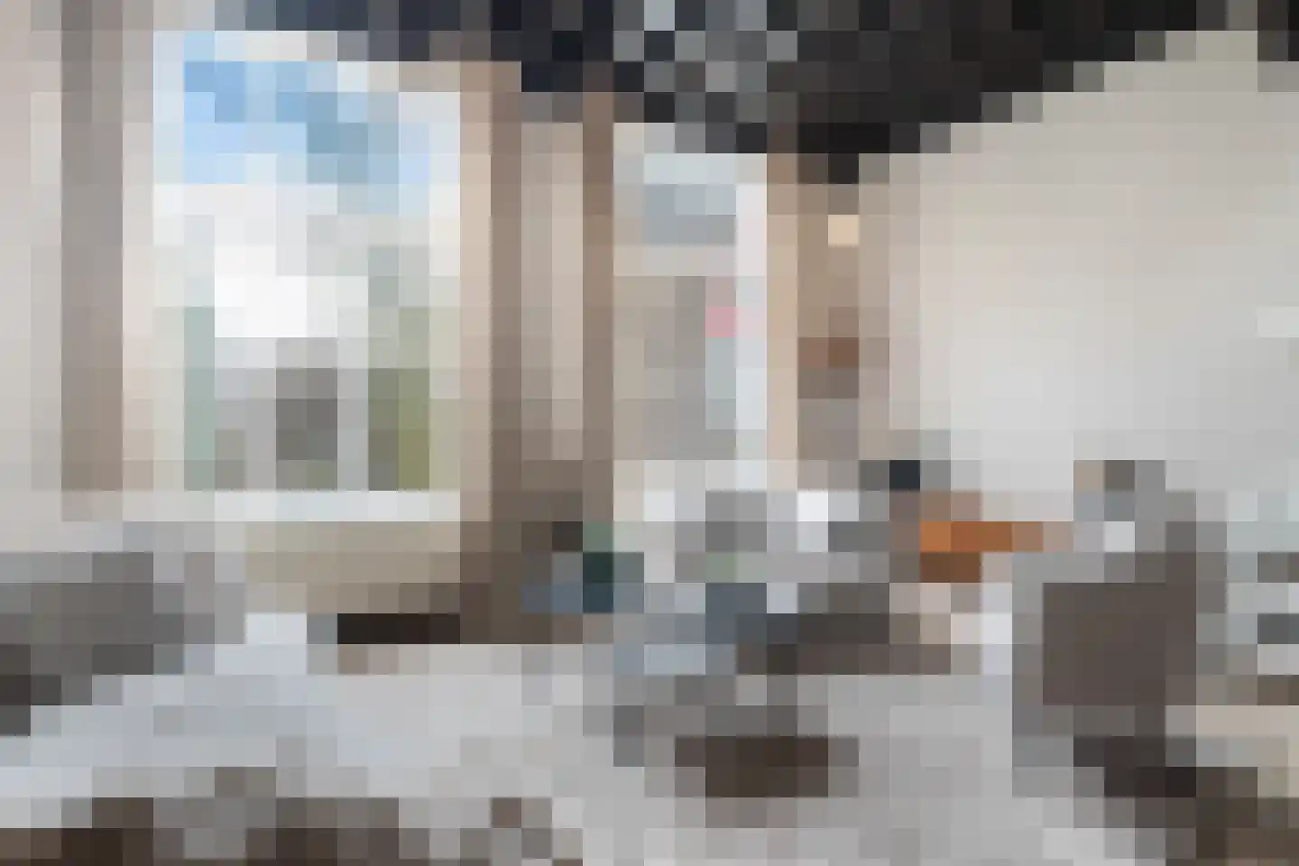 Munt 5 A Dordrecht thumbnail 19