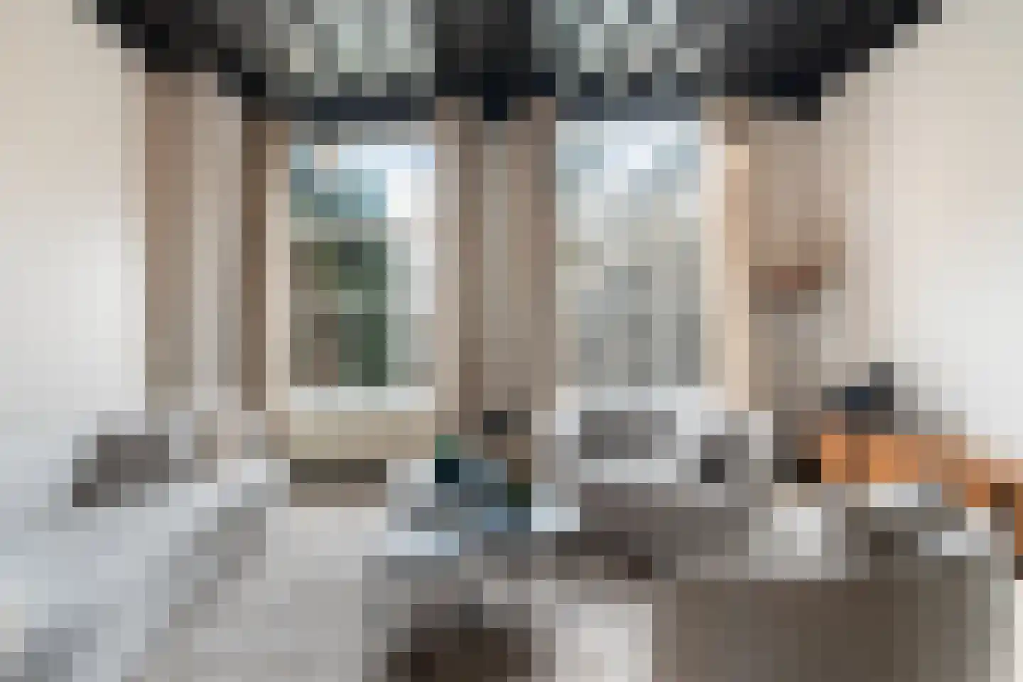 Munt 5 A Dordrecht thumbnail 20