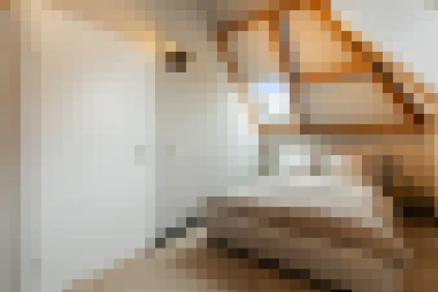 Munt 5 A Dordrecht thumbnail 34