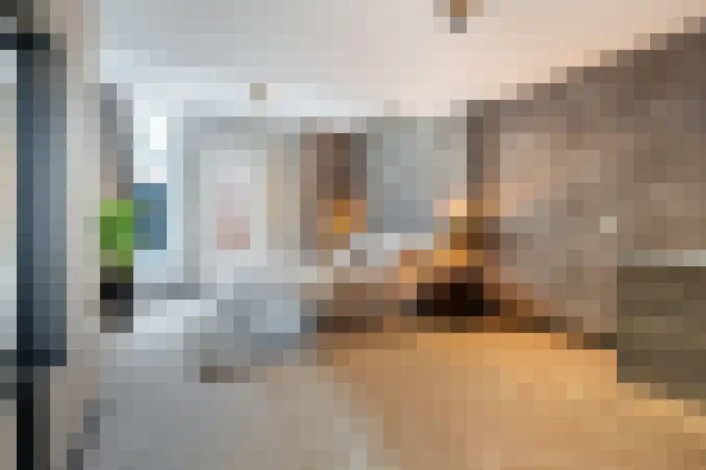 Munt 5 A Dordrecht thumbnail 4