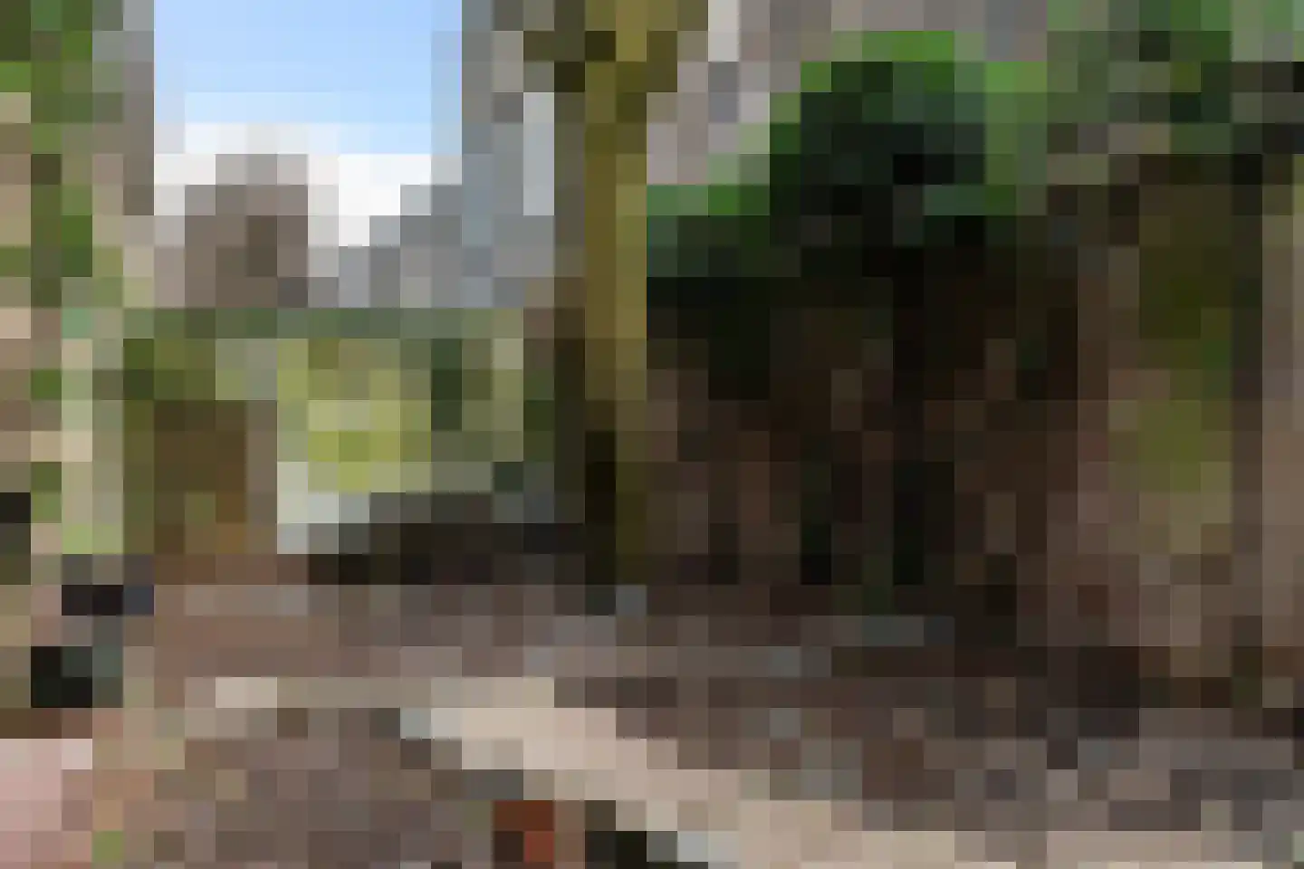 Munt 5 A Dordrecht thumbnail 43