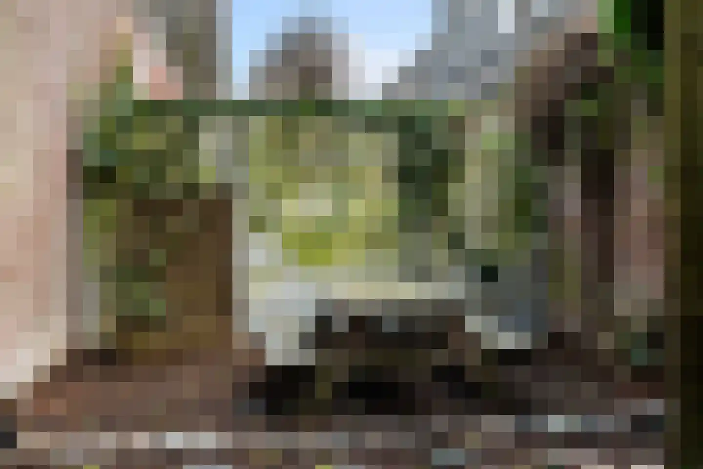 Munt 5 A Dordrecht thumbnail 44