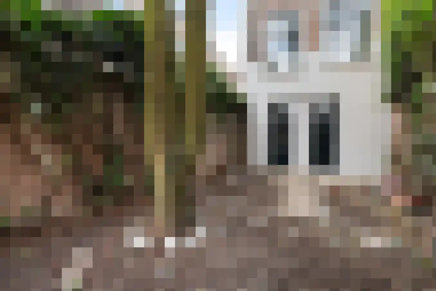 Munt 5 A Dordrecht thumbnail 45