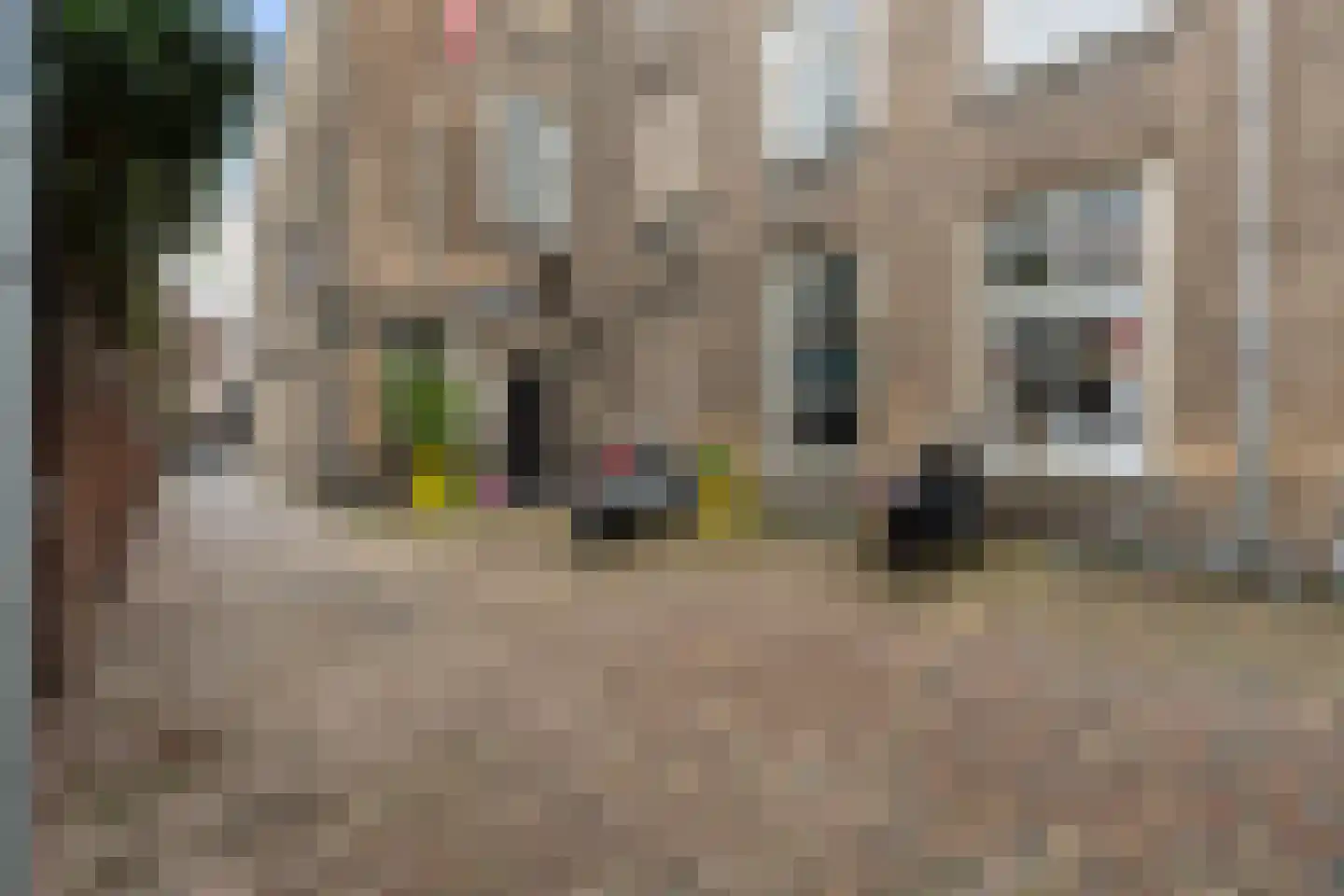 Munt 5 A Dordrecht thumbnail 50