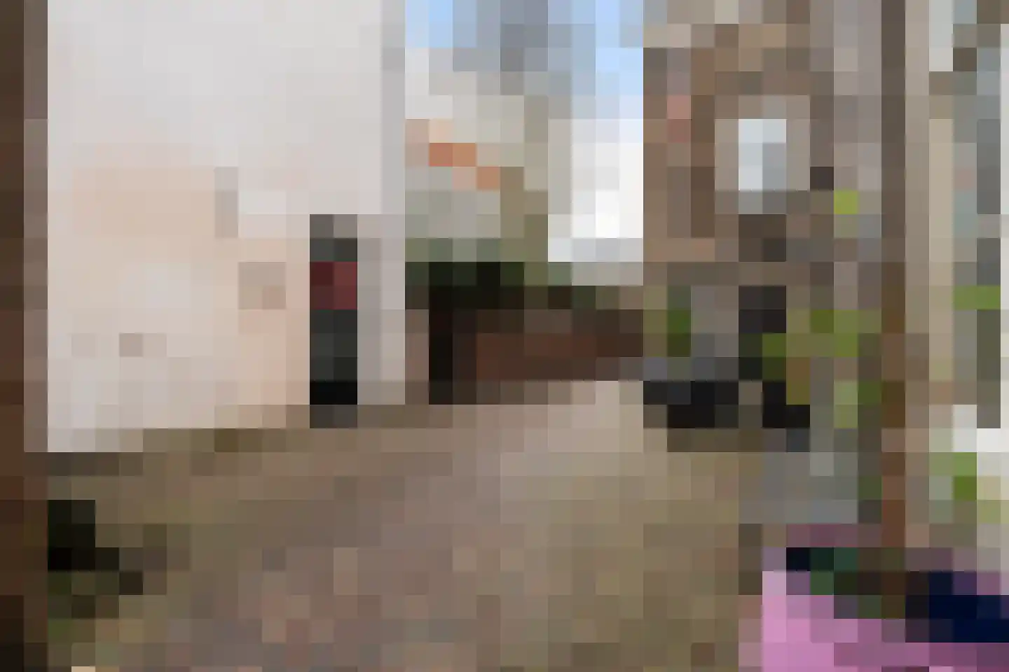 Munt 5 A Dordrecht thumbnail 51