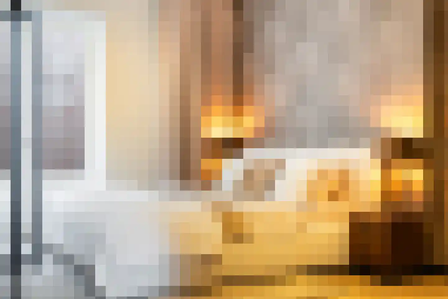 Munt 5 A Dordrecht thumbnail 6