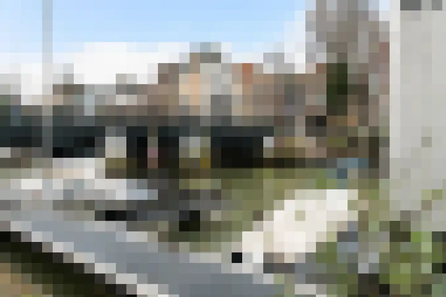 Munt 5 A Dordrecht thumbnail 61
